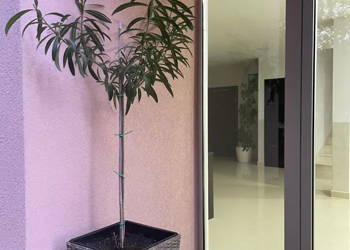 Sobe Klara 3* Međugorje